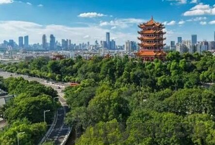 91麻豆国产视频-国内在线视频的多样选择与平台监管