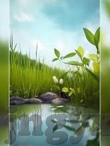 超碰成人在线视频-探索成人娱乐的边界，超碰成人在线视频的多元视角