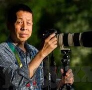 国产91视频麻豆-国产影片的艺术魅力与文化载体——麻豆之浅见