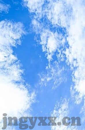 人妻 有码-探索人妻角色的多维度解读，爱与生活的交织