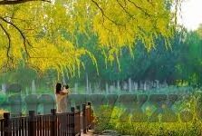 糖心app官网安全下载-糖心app官网安全下载指引，保护隐私，享受安心体验